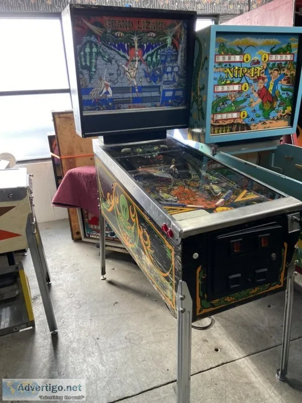 Grand Lizard Pinball Machine