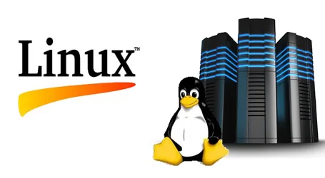 Linux Shared Hosting - HTS Hosting