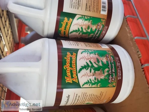 Grow More Mendocino Avalanche 1 galo