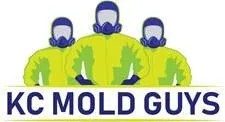 KC Mold Guys