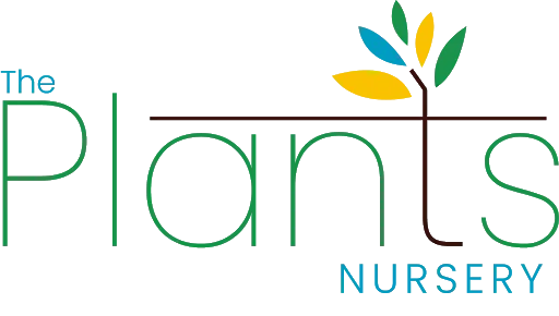 The plants nursery - buy plants online Bangalore
