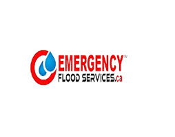 Emergency Water Extraction Services  emergencyfloodservic es.ca
