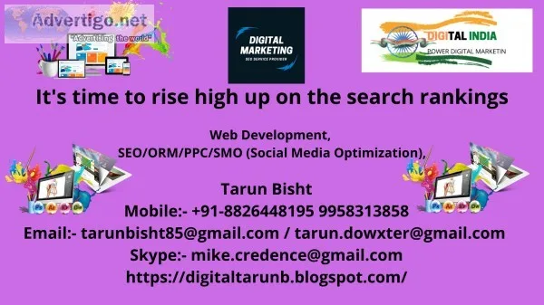 Seo services provider