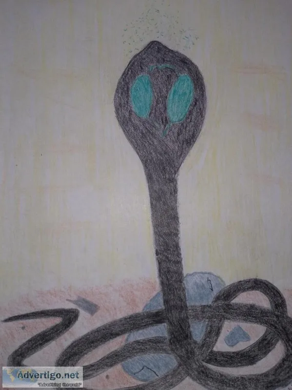 Deadly is the Cobra