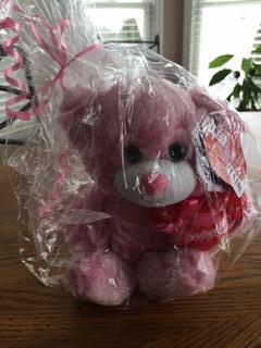 Pink Teddy Bear