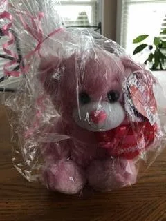 Pink Teddy Bear