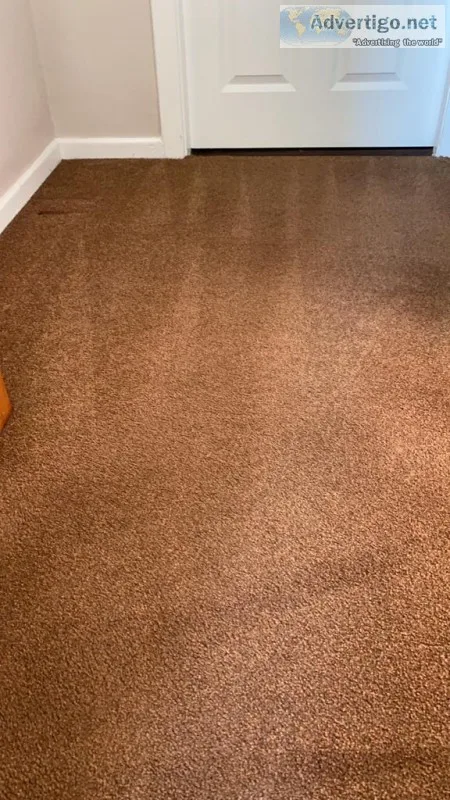 Carpet Cleaner in Blackrock Ireland  Gscleaning.ie