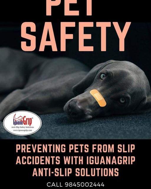 IguanaGrip prevents pets from slip accidents due to vitrified