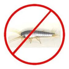 Cockroach Control Sunshine Coast