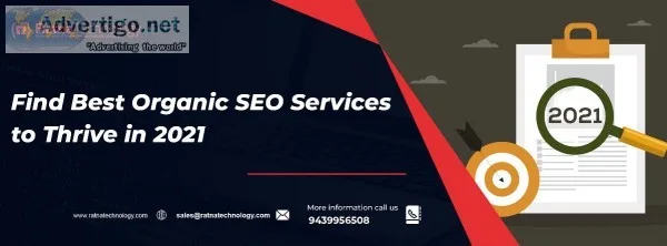 SEO Company in Bhubaneswar