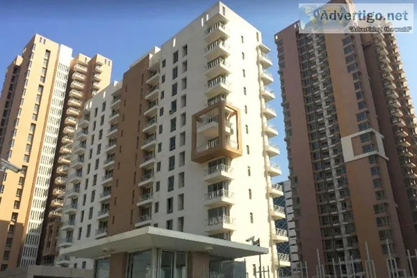 pioneer park for rent in gurgaon  34 bhk luxury apartments on go