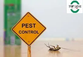 Rat control services surrey  Pest Control Service