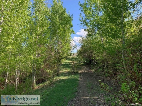 Beautifully Treed 20 Acres