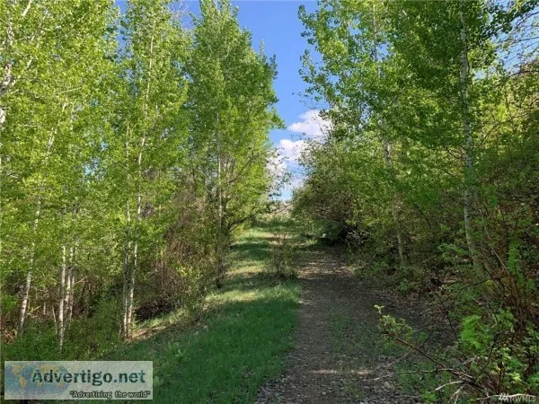 Beautifully Treed 20 Acres