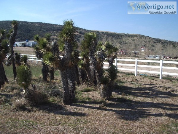 Install 3 rail ranch fences at your farm to ensure its safety. W