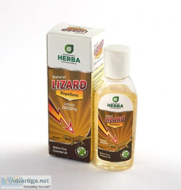 best lizard repellent