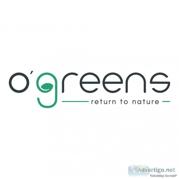 O green offers you vegan and gluten-free food