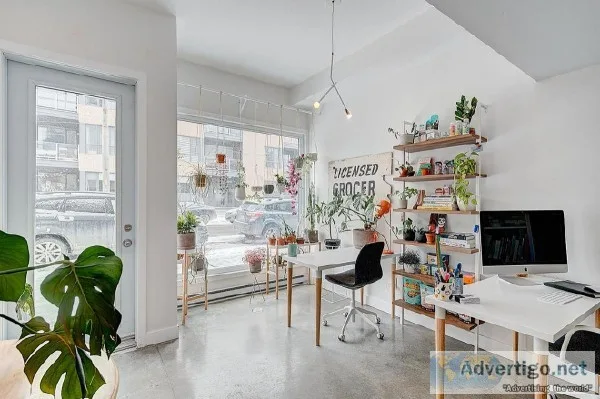 Impeccable commercial condo in the heart of La Petite-Patrie