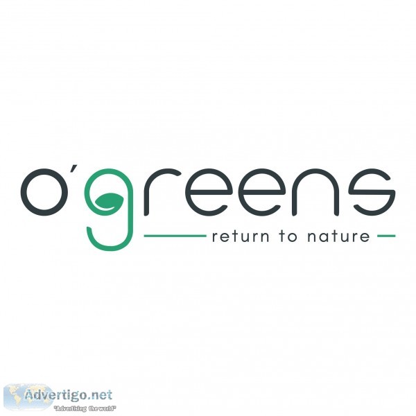 Healthy vegan bars from o green - return to nature