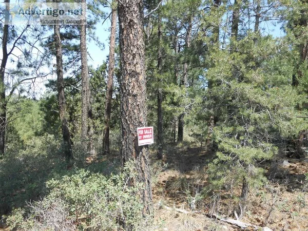 Timberon Lots for Sale