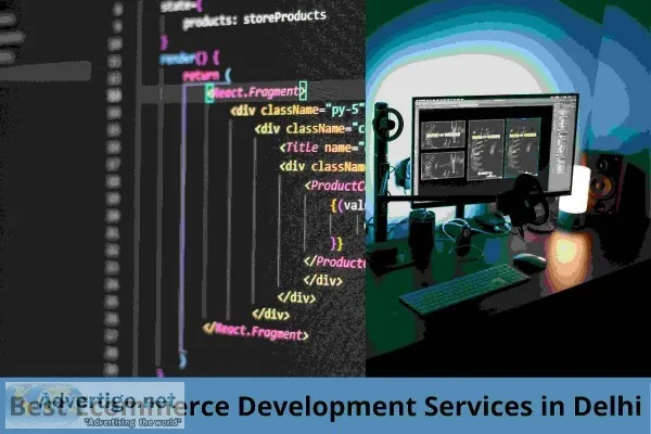 Best Ecommerce Development Services in Delhi