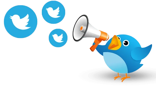 Best Twitter Marketing Services From Insightful Technologies