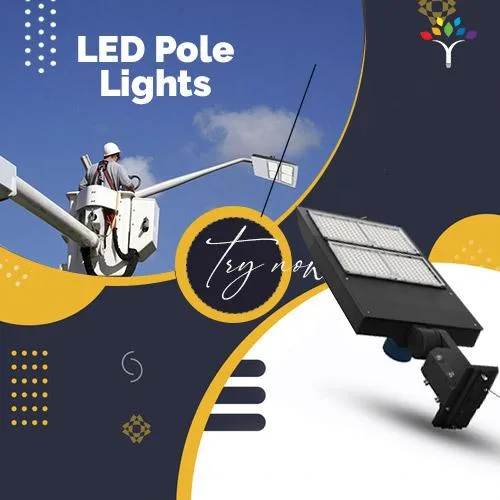 LED Pole Lights IP 65 Rated