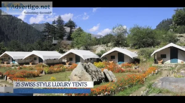 Camping in himachal pradesh