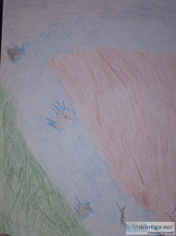 Nature s Scene