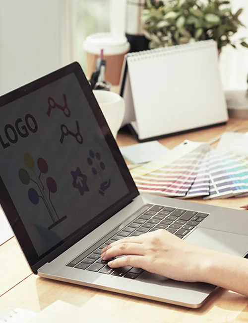 Top brochure design service