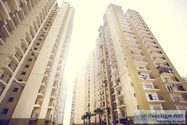 3 BHK Flat in Noida Extension  Trident Embassy Reso