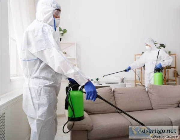 Professional sanitization services in delhi