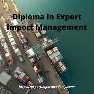 Join The Best Export-Import Classes