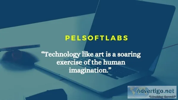 Pel softlabs pvt ltd - it services