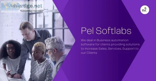 Pel softlabs pvt ltd - it services