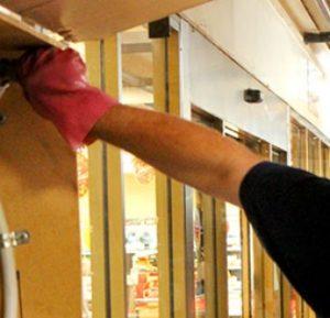 Flatlinepest Control - Best Pest Control Central Coast