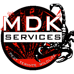 Spider Control Services