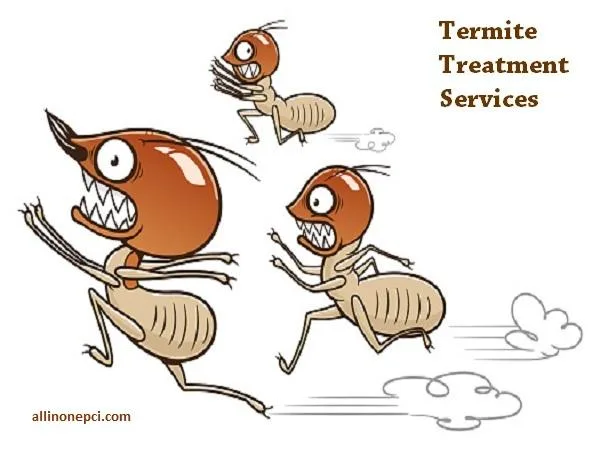 Are you looking for the Best Termite Treatment Services in Delhi