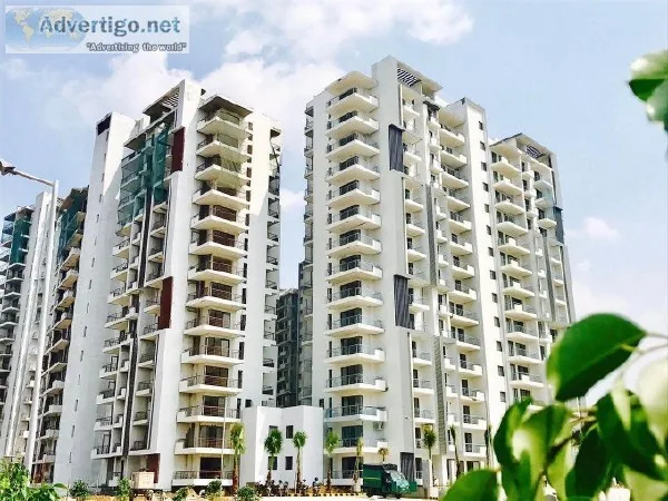 Godrej Oasis Sector-88A Gurgaon - Floor Plan Price Master Plan
