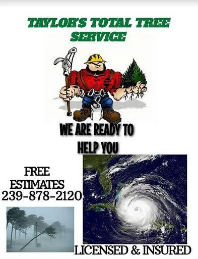 Total Tree Service- Storm Prep - licensed and insured