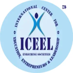Iceel it services