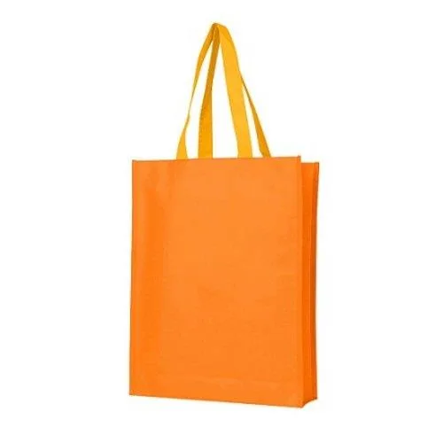Non woven loop handle bag at affordable price