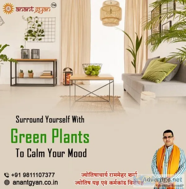 Top Astrologer in New Delhi  Best Astrology Consultation near me