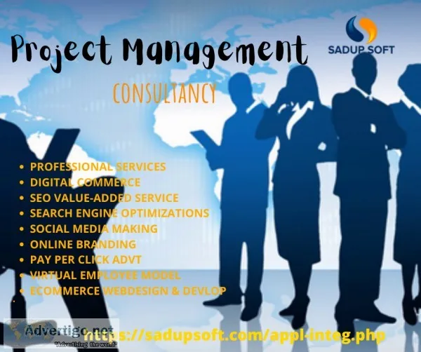 Project Management consultancy