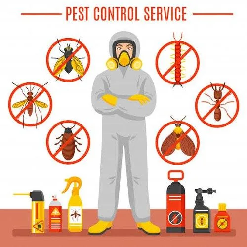 Pest Control Morayfield