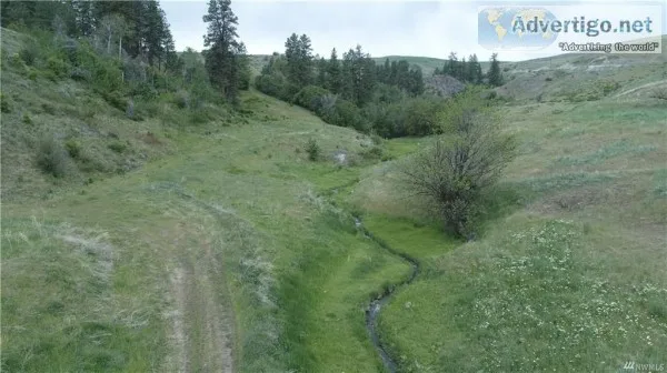 Excellent 40 Acres in Tonasket