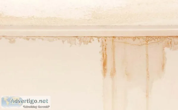 Wall Water Leakage Waterproofing