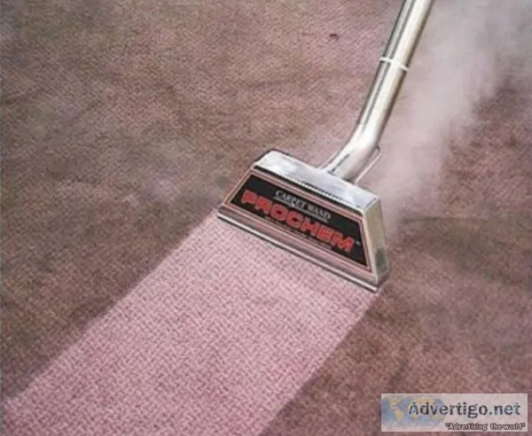 Get the Best Professional Carpet Steam Cleaner Services