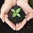 Ss vermicompost industry