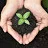 Ss vermicompost industry